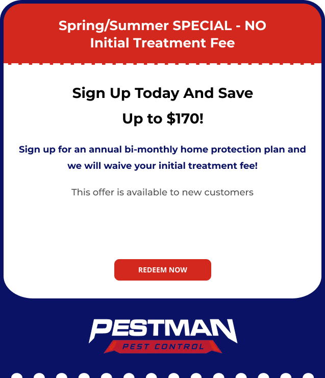 Spring/Summer Special